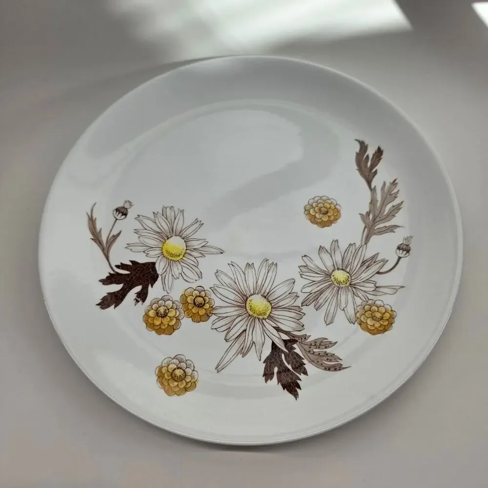 Johnson Bros Daisies Won't Tell Ironstone Dinner Plates 10